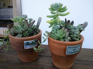 20121026_171429.jpg