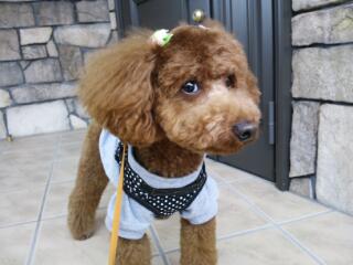20121102_134249.jpg