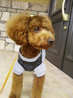 20121102_134728.jpg