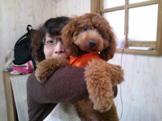 20121108_150337.jpg
