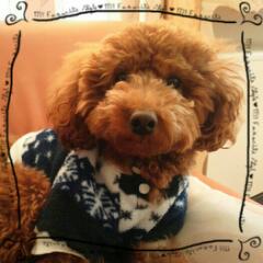 20130104_154114.jpg