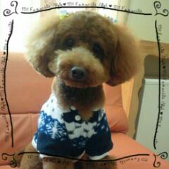 20130104_154132.jpg