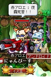 Maple120526_140338.jpg