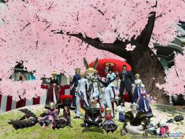 芋蔓集合写真春の陣DF前