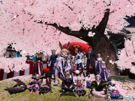 芋蔓集合写真春の陣DF襲撃