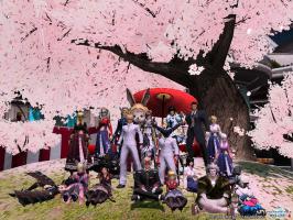 芋蔓集合写真春の陣微調整後