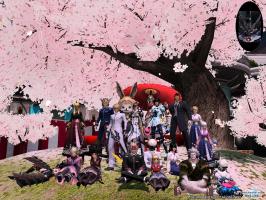 芋蔓集合写真春の陣DFのユメ