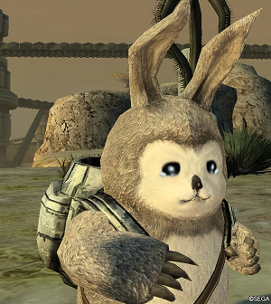 こいつです←