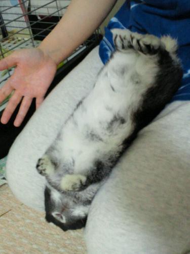 2012050919080000.jpg