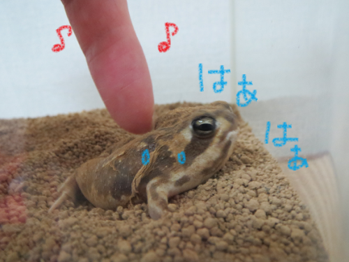 4_convert_20120926012318.png