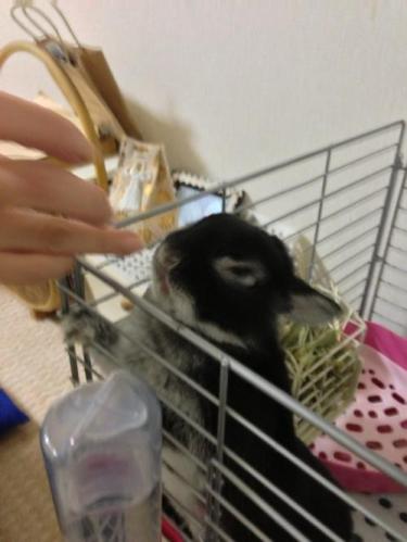 IMG_8566_convert_20121031211135.jpg