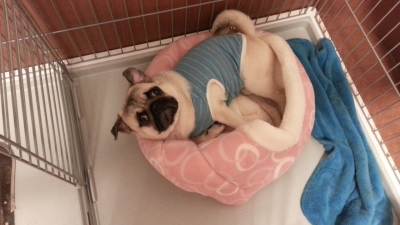 20141101_215813.jpg