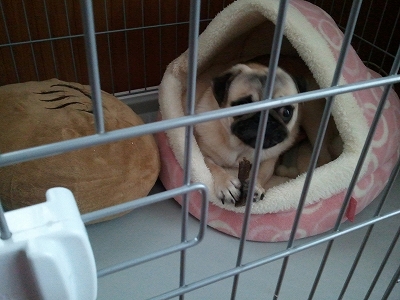 bed4.jpg
