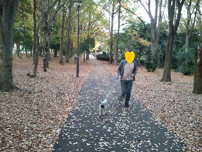 koen4.jpg