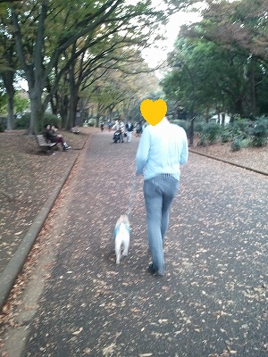 komazawa2.jpg