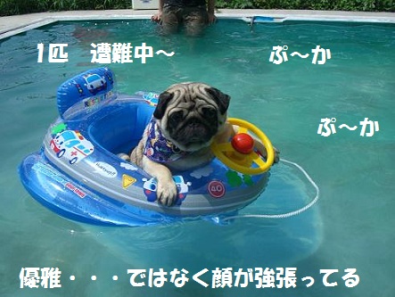 プール 5