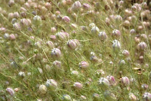 11_20120702121638.jpg