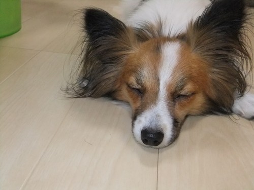 13_20121023225144.jpg