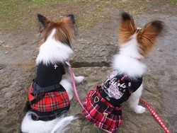13_20121214001248.jpg