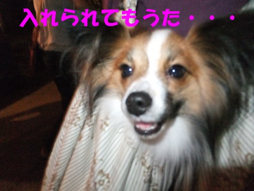 19_20120930011835.jpg
