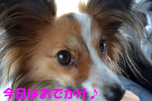 1_20120904112304.jpg