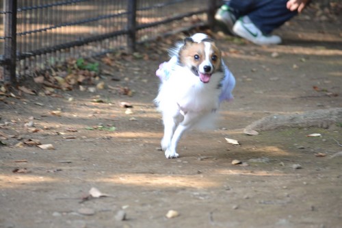 20_20121009085646.jpg