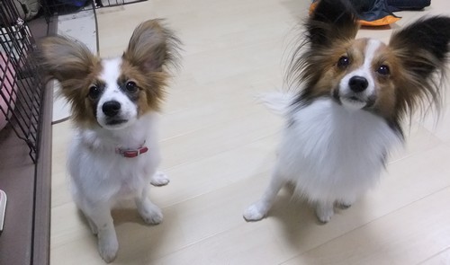 21_20130117002055.jpg