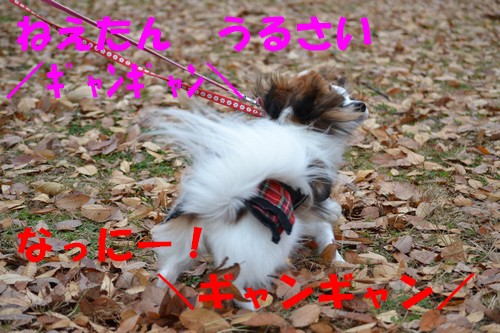 22_20121216100221.jpg