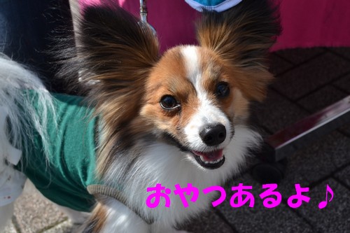 2_20120508221812.jpg