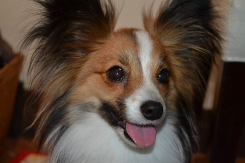 2_20120514144559.jpg