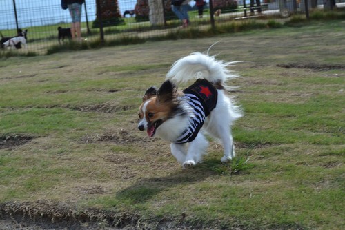 2_20120912143543.jpg