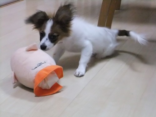 2_20121207193407.jpg