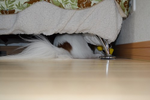 4_20121230092636.jpg
