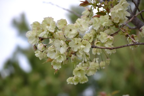 6_20120508221856.jpg