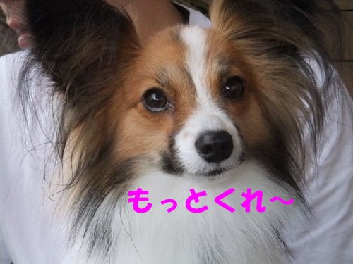7_20120927184356.jpg