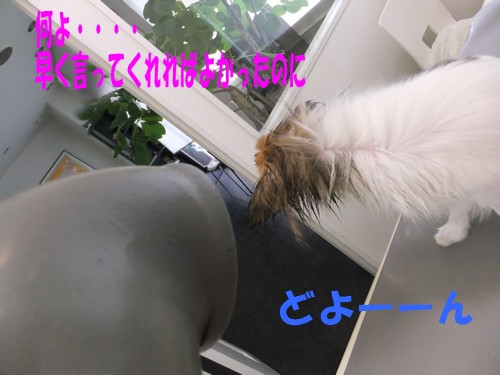 7_20121113085523.jpg