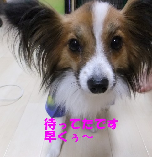 8_20120828213744.jpg