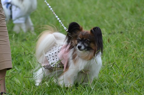 8_20120924155717.jpg