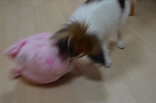 8_20130107202450.jpg