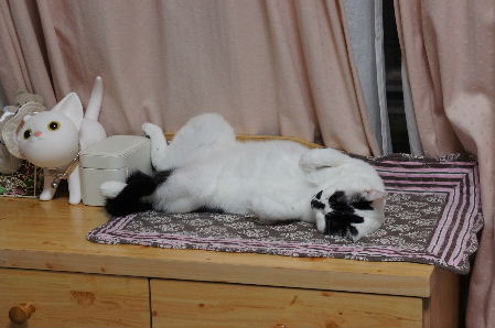 DSC00342.jpg