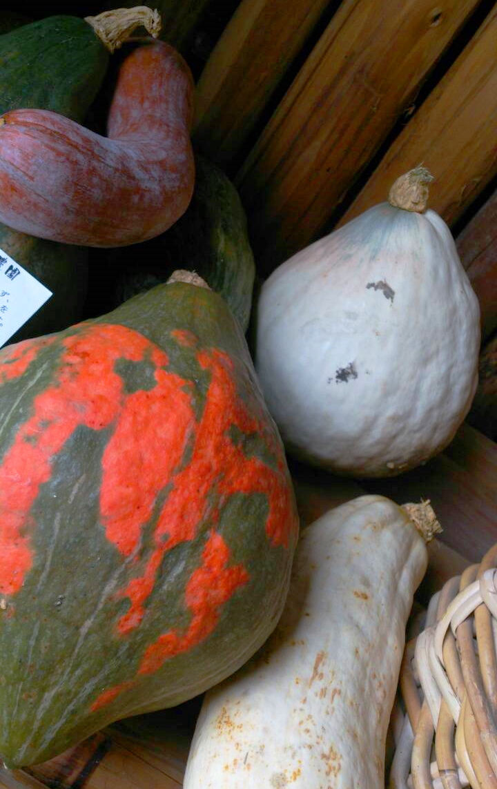 2014111211.jpg