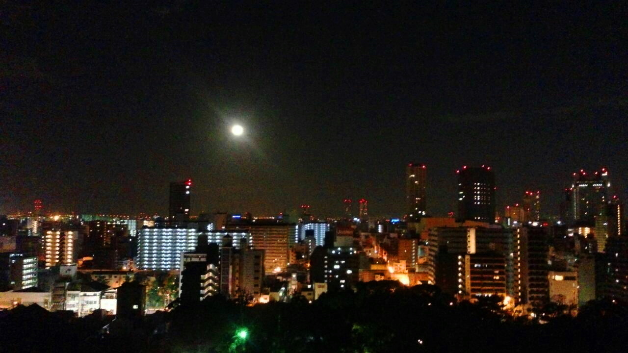 6480.jpg