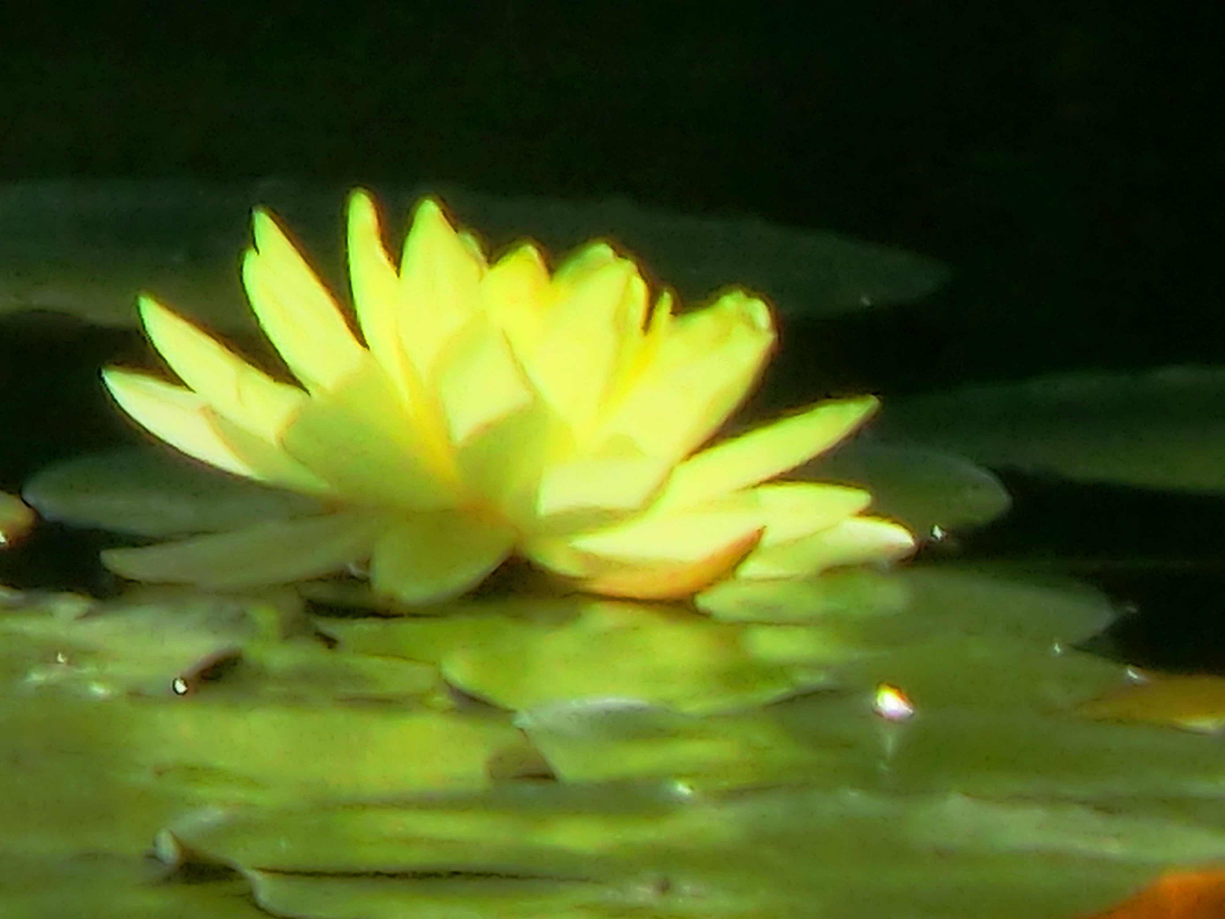 CIMG0578.jpg