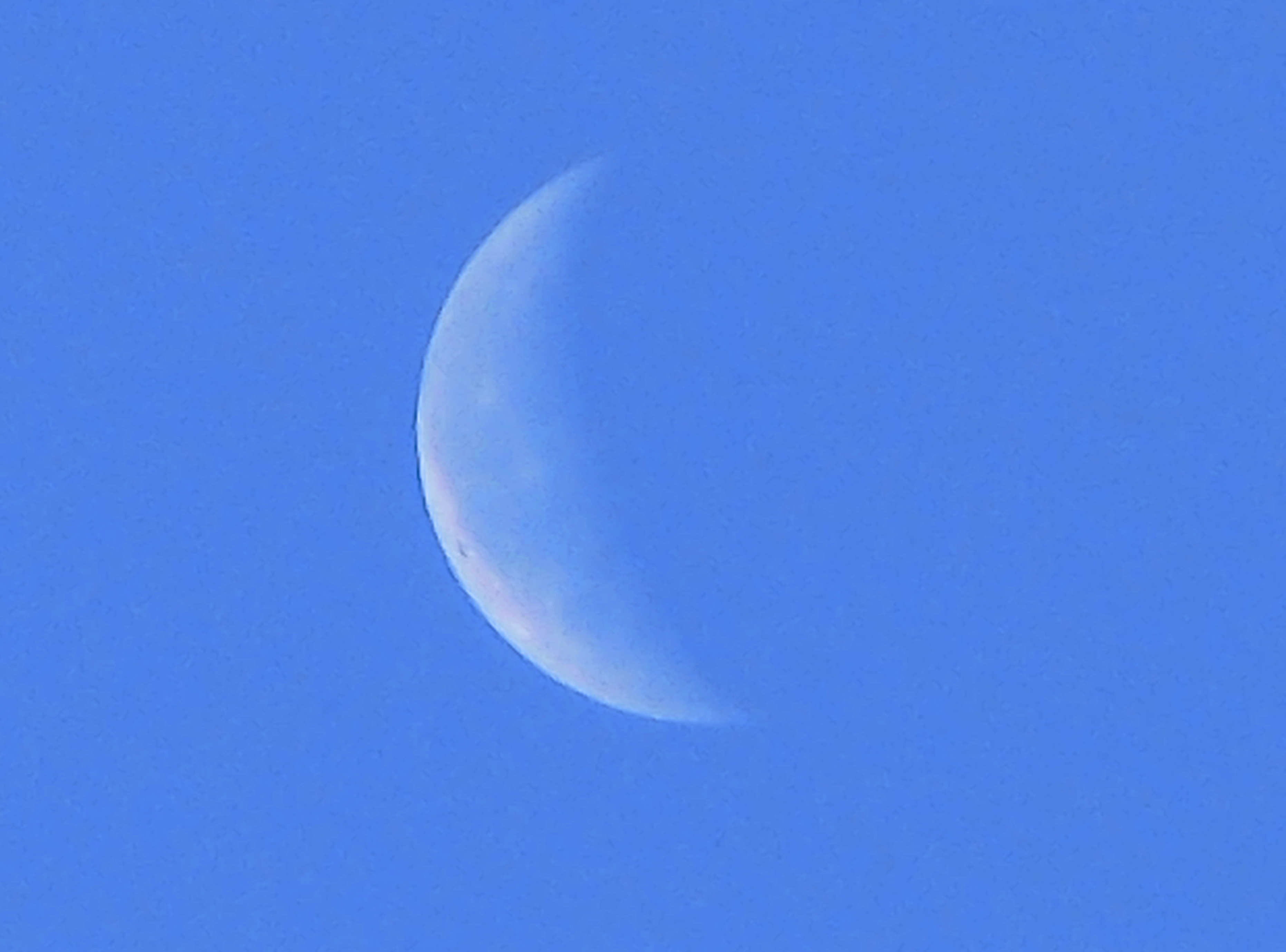 CIMG0585.jpg