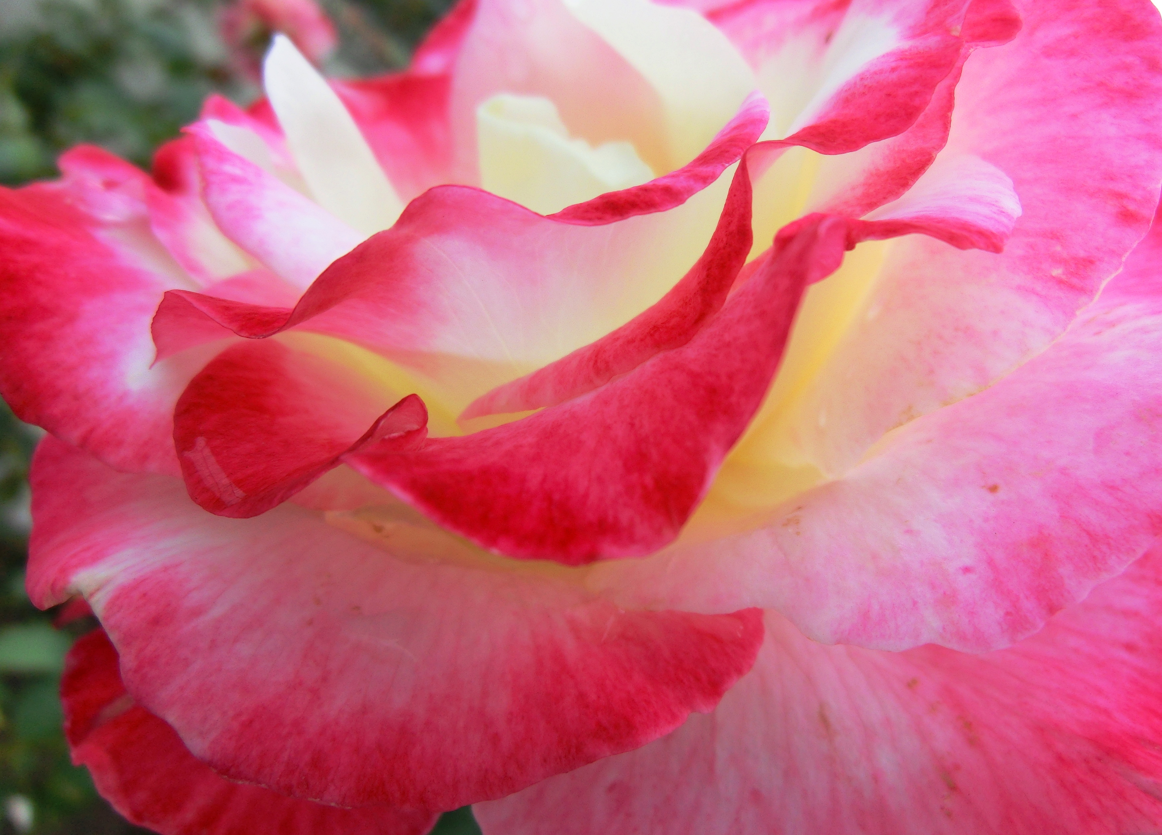 CIMG0890.jpg