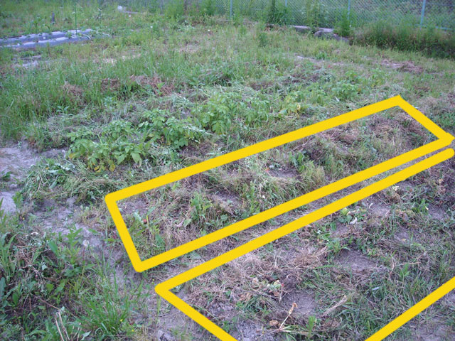 20120525-003.jpg