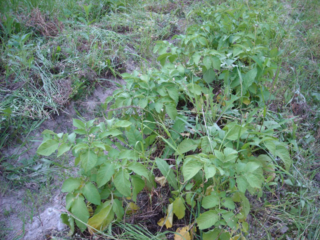 20120525-004.jpg