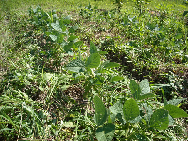 20120719-010.jpg