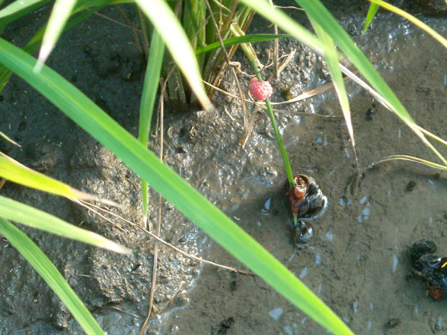 20120815-005.jpg