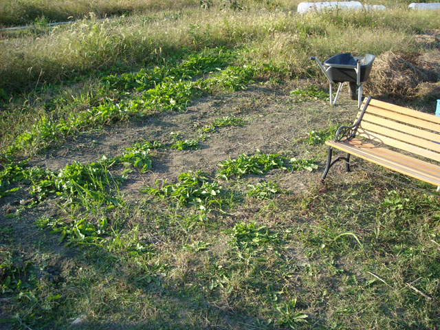 20121009-004.jpg